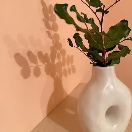 Luxury House Perfect For Vacations Xiropigado